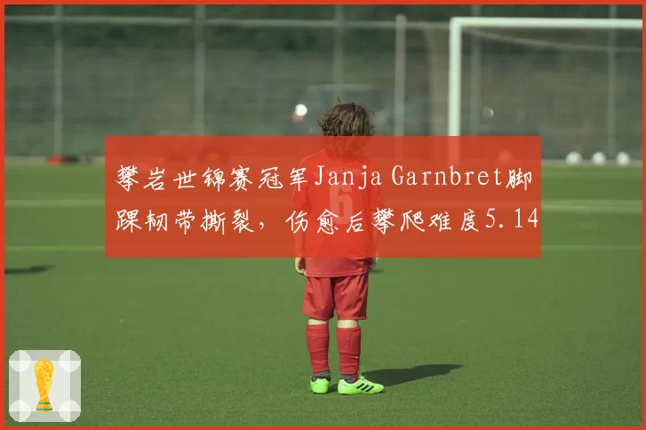 攀岩世锦赛冠军Janja Garnbret脚踝韧带撕裂，伤愈后攀爬难度5.14d完成率仅60%