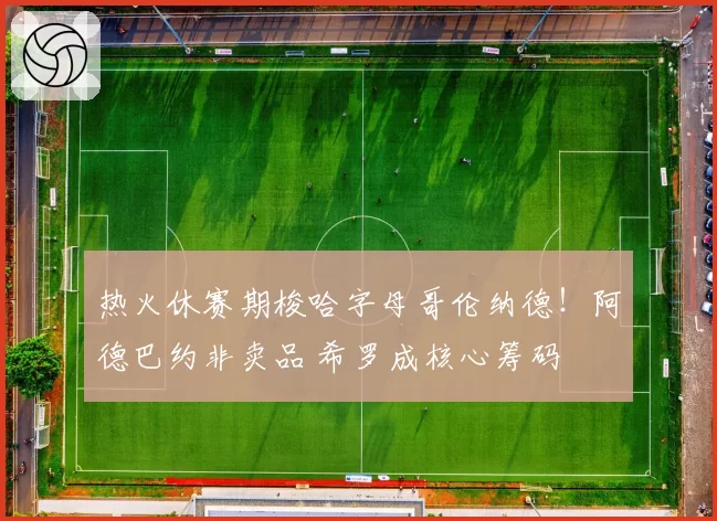 热火休赛期梭哈字母哥伦纳德！阿德巴约非卖品 希罗成核心筹码