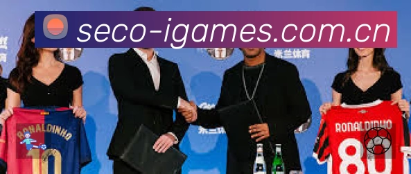 爱游戏安全运营支持